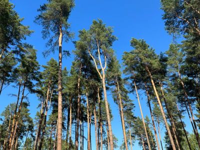 photo 6452983c78d2c_thumb.jpg