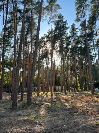 photo 6452983d41e76_thumb.jpg