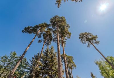 photo 683478e3c1ec6_thumb.jpg