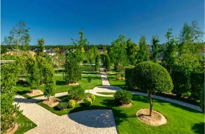 photo 64529a8d96a1f_thumb.jpg