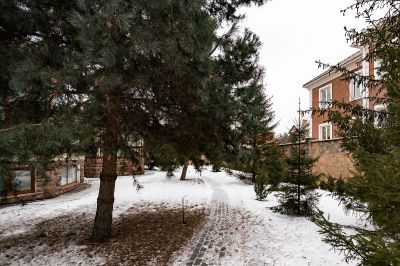 photo 64529aec50e53_thumb.jpg