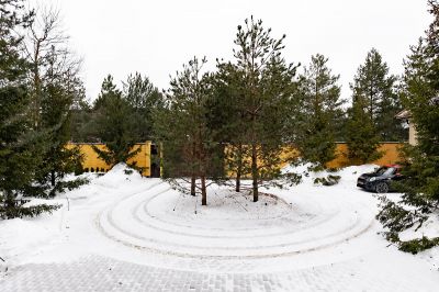 photo 64529aedc4065_thumb.jpg