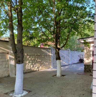 photo 6687c6a710786_thumb.jpg