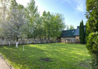 photo 6687c6a775a97_thumb.jpg