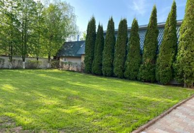 photo 6687c6a96a4ab_thumb.jpg