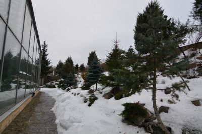 photo 64529bbea3795_thumb.jpg