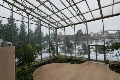 photo 64529bc0a19e4_thumb.jpg