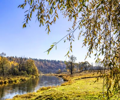 photo 64529bdbe4eda_thumb.jpg