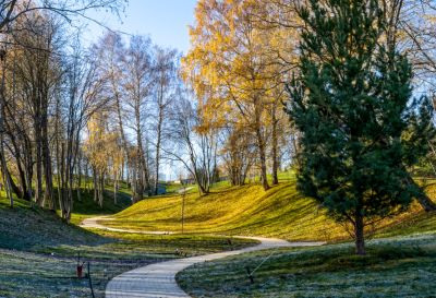 photo 64529bdd09cc7_thumb.jpg