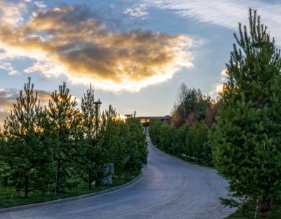 photo 64529bdd981e6_thumb.jpg