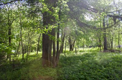 photo 648c5bd60034d_thumb.jpg