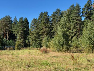 photo 648c5bd79d477_thumb.jpg