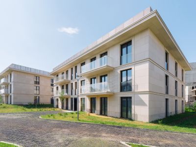 photo 64a82101dc553_thumb.jpg