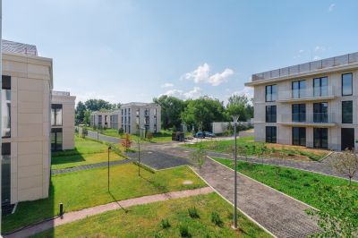 photo 64a82002a4e09_thumb.jpg