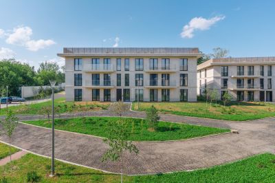 photo 64a820045aa1e_thumb.jpg