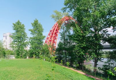 photo 64a81d4f226d0_thumb.jpg