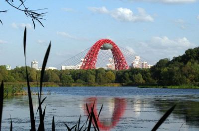 photo 64a52cfb078f5_thumb.jpg