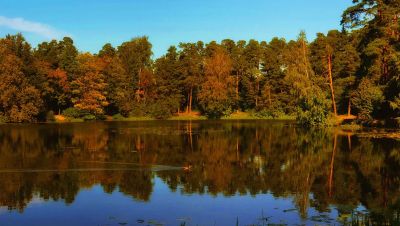 photo 64a52cfbc9b20_thumb.jpg