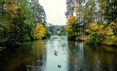 photo 64a52cfc54466_thumb.jpg