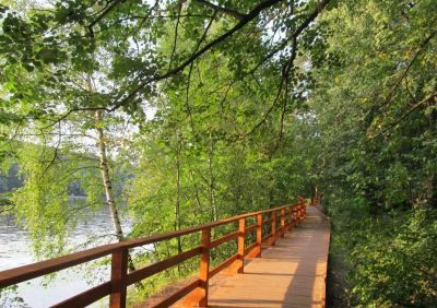 photo 64a52cfcdc70a_thumb.jpg