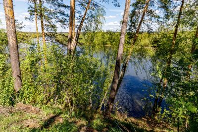 photo 64a542088c053_thumb.jpg