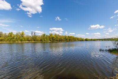 photo 64a54234ee332_thumb.jpg