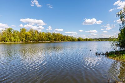 photo 64a5423674337_thumb.jpg