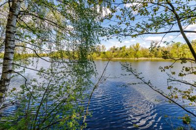 photo 64a54237ef9aa_thumb.jpg