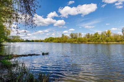 photo 64a54241d1655_thumb.jpg