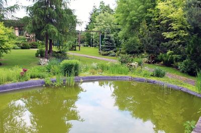 photo 64a556d3ae257_thumb.jpg