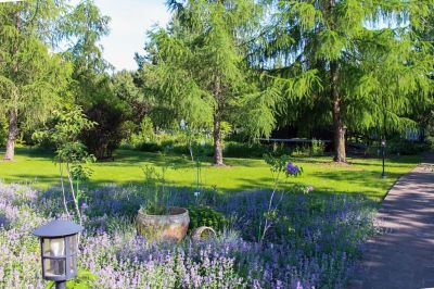 photo 64a556d446bb6_thumb.jpg