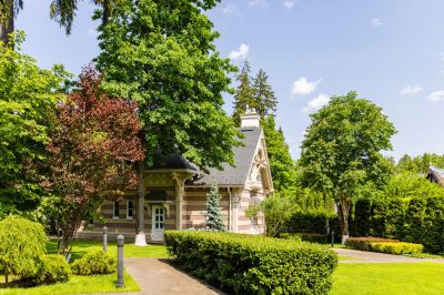 photo 64a715fadd23a_thumb.jpg