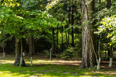 photo 64a715fb7f810_thumb.jpg