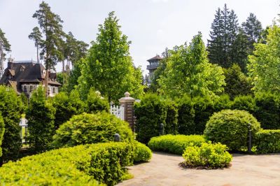 photo 64a715fc211c3_thumb.jpg