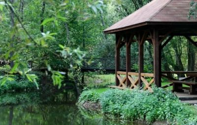 photo 64c7643f45847_thumb.jpg