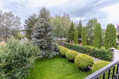 photo 64db6c1a8fa70_thumb.jpg