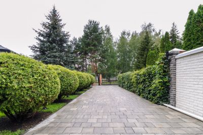 photo 64db6c2ada978_thumb.jpg