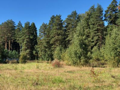 photo 64f8770931fb5_thumb.jpg