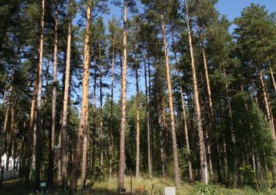 photo 64f87709d5d0e_thumb.jpg