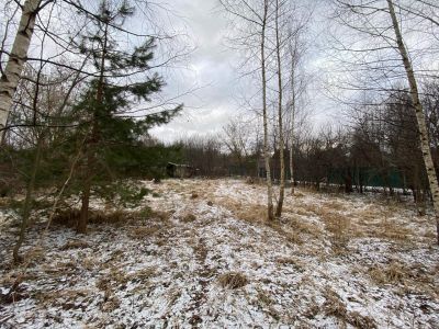 photo 67b5bedcc2069_thumb.jpg