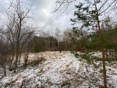 photo 67b5bedd9c87e_thumb.jpg