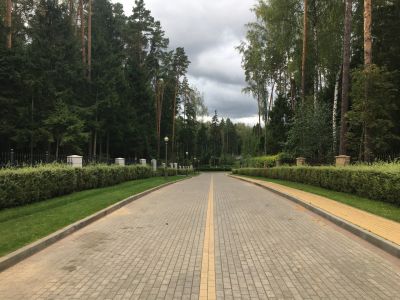 photo 64fb2f1dc5e71_thumb.jpg