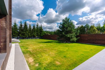 photo 64febc3a09fb3_thumb.jpg