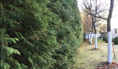 photo 11187_63bdf9e14ff14_thumb.jpg