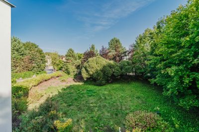 photo 66cc966d6d7e5_thumb.jpg