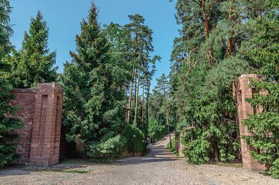 photo 11192_63bdea98207be_thumb.jpg