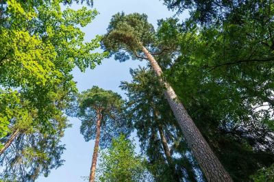 photo 650d749ce474f_thumb.jpg