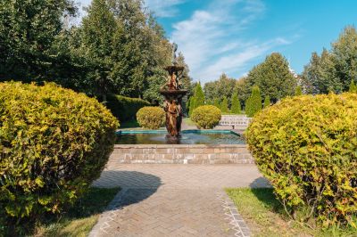 photo 11201_650826d4f372c_thumb.jpg