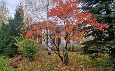 photo 6707ae1261dfe_thumb.jpg