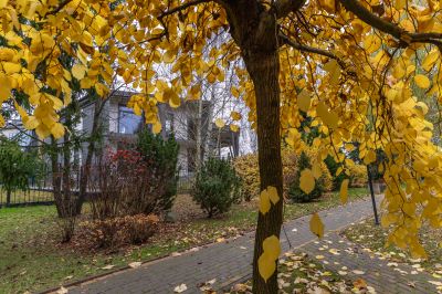 photo 6913143dc066d_thumb.jpg